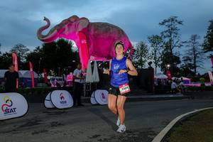 BIB: 
                            <button type="button" onclick="openModal(26529701)" class="btn btn-primary btn-sm float-right btn-popup" data-toggle="modal" data-target=".modal-high-quality">
                        <i class="fas fa-shopping-cart"></i> Add to Cart
                    </button>
                                            <button type="button" onclick="isThisMe(26529701, true)" class="btn btn-success btn-sm float-right btn-popup btn-isme hidden" data-toggle="tooltip" data-placement="bottom" title="นี่คือรูปของคุณใช่ไหม คลิกที่นี่เพื่อเอาเข้าอัลบั้ม">
                        <i class="fas fa-plus"></i> Add to album
                    </button>
                    <button type="button" onclick="isThisMe(26529701, false)" class="btn btn-warning btn-sm float-right btn-popup btn-isnotme hidden">
                        <i class="fas fa-ban"></i> Remove from album
                    </button>